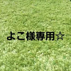 よこ様専用☆