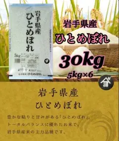 米 特A評価 【令和7年産岩手県産ひとめぼれ30kg】 (5kg×6) - メルカリ
