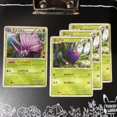 モルフォン＆コンパン LL(ロストリンク) 計４点セット