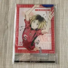 ハイキュー!! アクリルスタンド 孤爪研磨