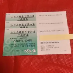 2026年最新】万葉の湯 券の人気アイテム - メルカリ