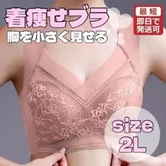 胸を小さく見せるブラ　単品　シームレス ナイトブラ ノンワイヤー2ピンク