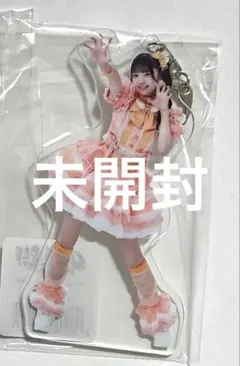 iLiFE 小熊まむ アクキー 未開封のサムネイル