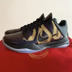 NIKE KOBE V PROTRO