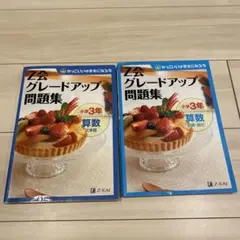 Z会グレードアップ問題集 小学3年 算数 文章題、計算・図形 2冊セット
