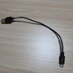 PURIDEA Lightningケーブル 短い