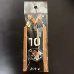 ハイキュー!! ご当地アクリル根付 日向 おこじょ 信州
