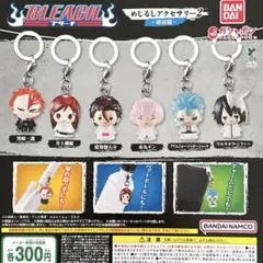 ブリーチ めじるしアクセサリー2〜破面篇〜全6種コンプリート