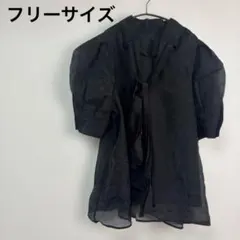 【極美品】cle シアーボリュームスリーブブラウス ボウタイ パフスリーブ F