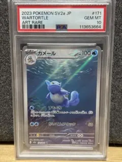 PSA10 カメール　クラシック　classic PSA10 カメール クラシック classic Classic カメール」の激安