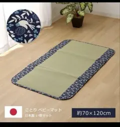 Item thumbnail for item c4967f01-453c-4885-9f7b-9cac6a89373a