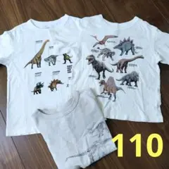 110 ユニクロ　恐竜　Tシャツ　まとめ売り