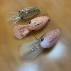チャタクラ　ディスプラウトのサムネイル