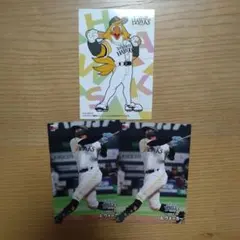 プロ野球チップス2024 ソフトバンクホークス　ウォーカー　ハリーホーク