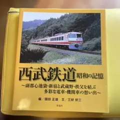 近鉄 天皇陛下御即位記念乗車券 26000系 さくらライナー 2枚セット