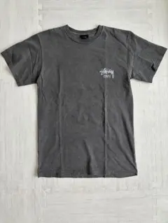 stussyステューシー ダークグレー Tシャツ ヤシの木 ビーチ Mサイズ