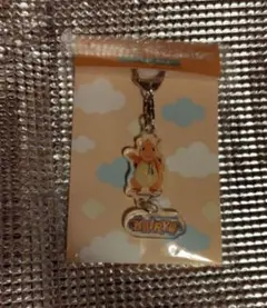 ポケモン　ローカル　Acts 物産展　カイリュー　キーホルダー　クリアポーチ ポケモン ローカル Acts 物産展 カイリュー キーホルダー クリアポーチ