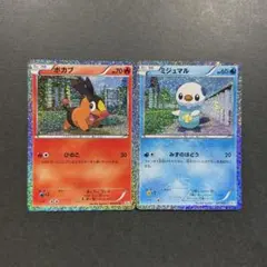 ポケモンカード ポカブ ミジュマル キラ