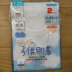 GUNZE 男児 アンダーシャツ 肌着　下着　120 2枚セット