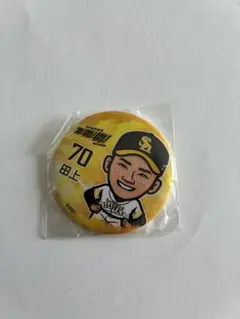 田上奏大投手 若鷹ガチャ ソフトバンクホークス