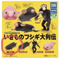 いきものフシギ大列伝 モグラ