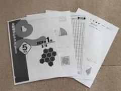 5年生⭐️四谷大塚組分けテスト対策セット　2年分