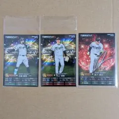 プロ野球チップス　佐藤　村上　森下