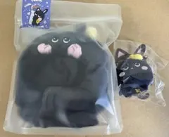 RIIZEウォンビン トニャンドク ミニドール キーホルダー, ペンライトカバー