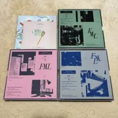 SEVENTEEN セブチ 10TH MINI ALBUM FML 4形態