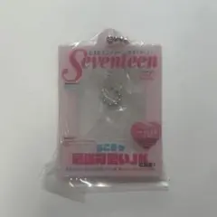 ガチャガチャ　Seventeen