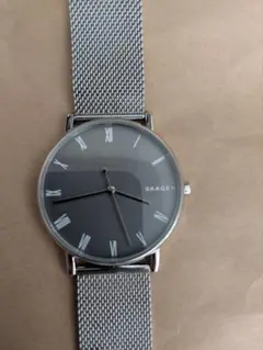 SKAGEN SIGNATUR SKW6428 腕時計 クォーツのサムネイル