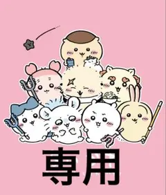 専用出品