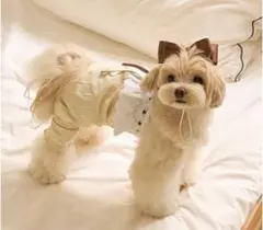 kiki&nini イエローロンパース