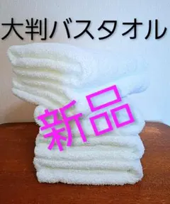 Item thumbnail for item f6a55dc7-4b0b-4ff4-b3b8-5fc7e679b00d