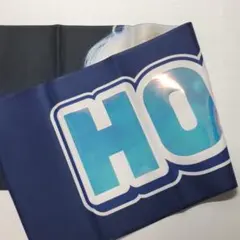 SEVENTEEN セブチ クォンスニョン ホシ スローガン