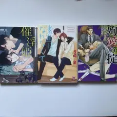 BL小説　３冊セット　まとめ売り　催淫姫　西野花さん　他