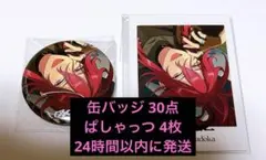 あんスタ 缶バッジ 円果望見 45点 - メルカリ