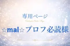 ⭐︎mal⭐︎プロフ必読様専用ページ