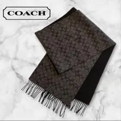 Item thumbnail for item b240ae39-4b58-4f0e-8a9a-ae635b92c259