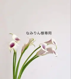 なみりん様 リクエスト 3点 まとめ商品