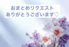 まめ姫様 リクエスト 2点 まとめ商品