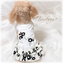 犬服ハンドメイド チュニックブラウス リボンジレ2着セット - メルカリ