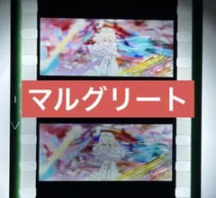 劇場版 魔法少女まどか☆マギカ フィルム コマ まどマギ マルグリート