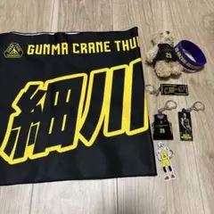 群馬クレインサンダーズ 細川一輝セット