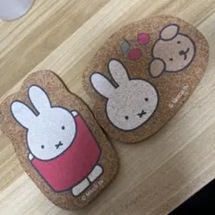 Item thumbnail for item ea01ae72-cde9-46f8-b89b-4c1333ee9983