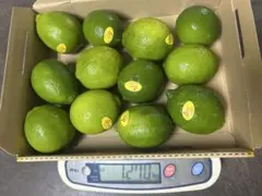 メキシコ産ライム①12個入りのサムネイル