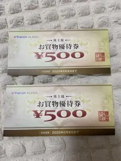 ヤマダ電機　お買物優待券 2枚