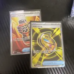 T*n様 パワープロテイン メガシグナルSR