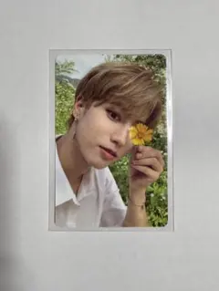 Stray Kids スキズ NOEASY トレカ ハン ジソン