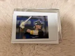 山本大斗 BSWシークレットチェキ 千葉ロッテマリーンズ